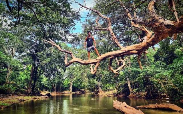 Jungle river humbhaha hostel