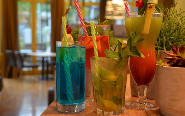 Hotel Aspethera