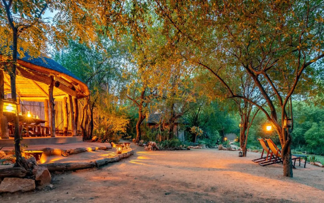 Umlani Bushcamp - Lodge
