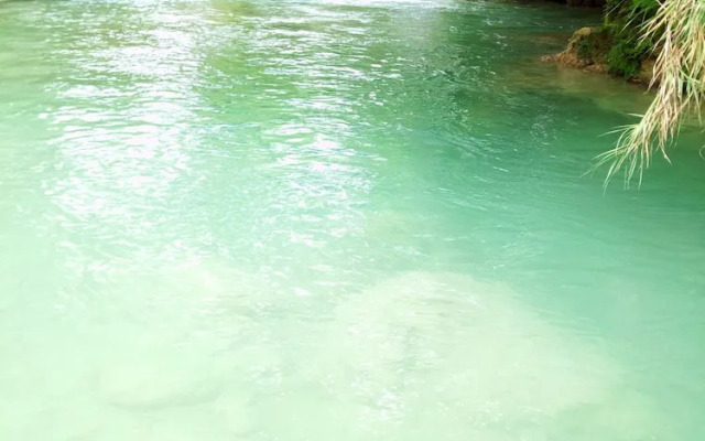 Room in Cabin - Cabanas Sierraverde Huasteca Potosina Highland Cabin