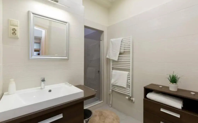 Luxury apartment in the city center