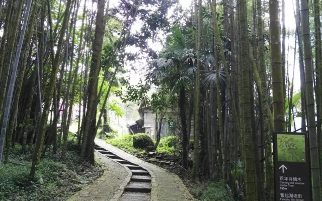 Qun Feng Hotel