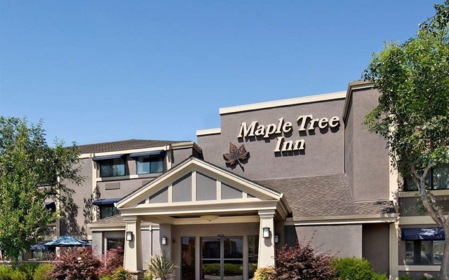 Maple Tree Inn