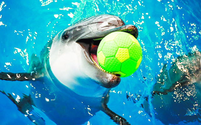 Океан (Владивосток)