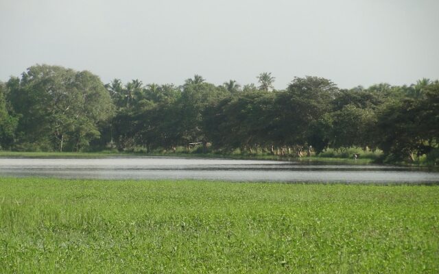 Kulama THE Lake Villa