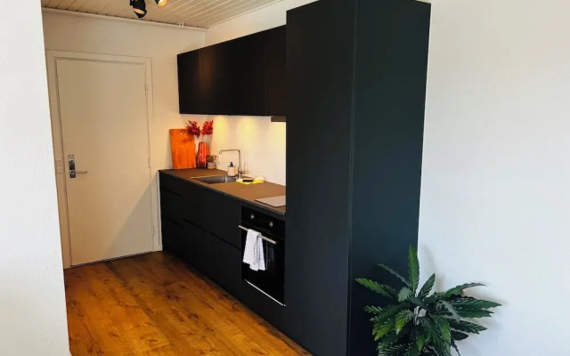 Cozy Flats Silkeborg - 1TH