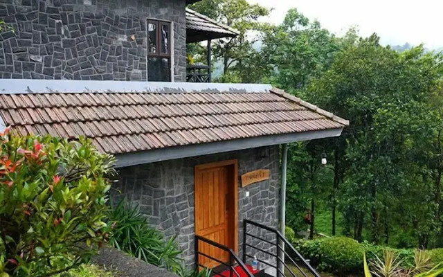 The Wild Trails Clarks Exotica Munnar