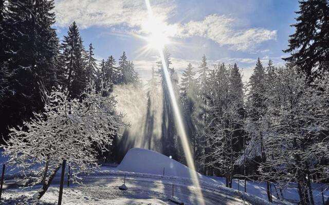Apartment 32 Crans-Montana
