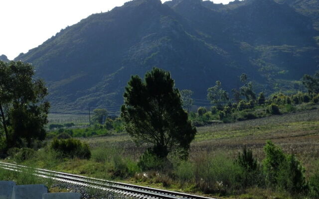 Gooding's Groves Olive Farm