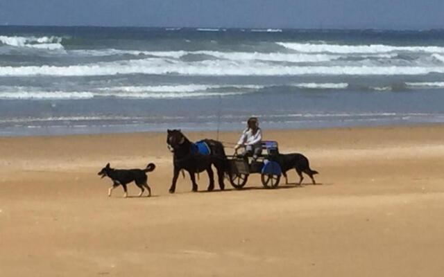 Appt T2 Proche Plage