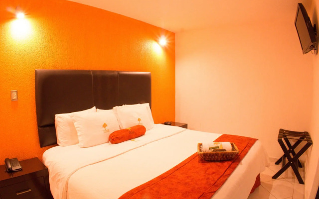 Hotel The Lit 13
