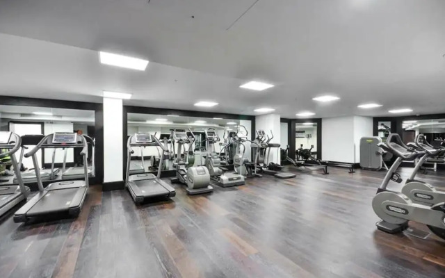 Charming 3 Bedroom Apartment in Central London