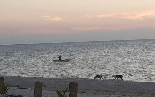 Flamingo Guest House Celestún