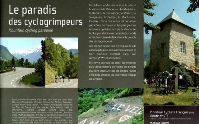 Les Cyclamens