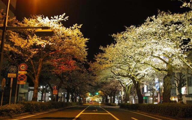 Tourist Hotel Hitachi