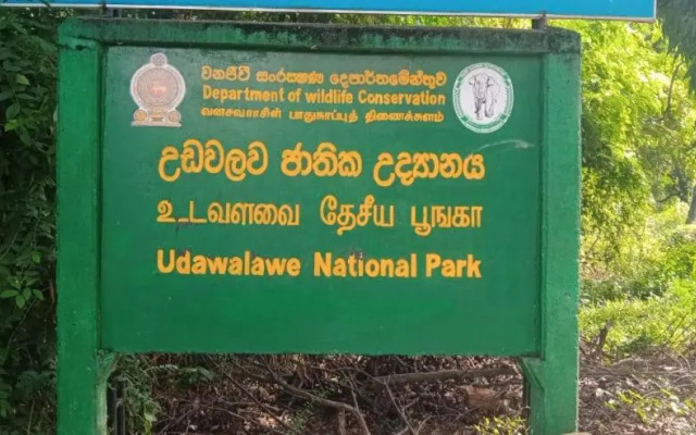 Wildlife & Nature Protection Society Bangalow