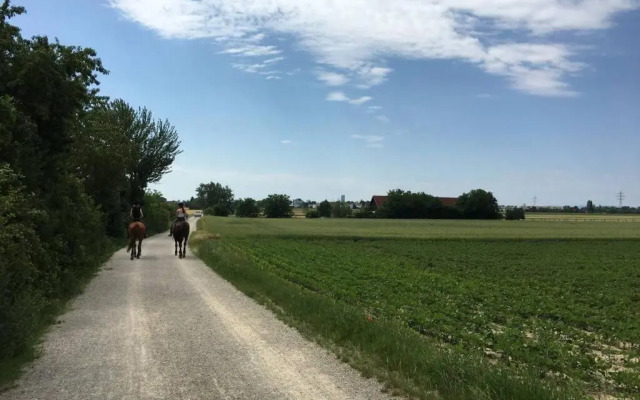 Luxury Design Apartment