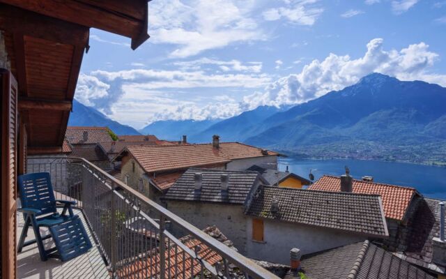 Rustico Maria (DMA391)