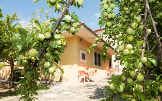 Nel Giardino Dei Limoni