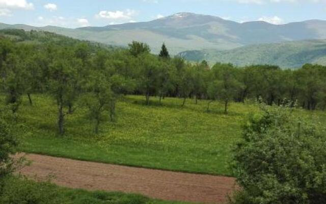 Lika Dream - Obradovic