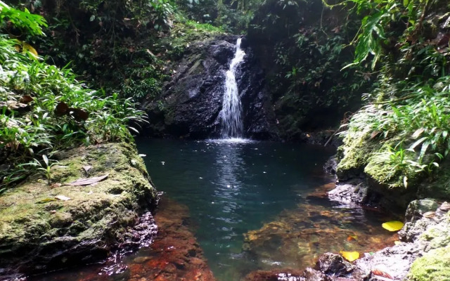 El Amargal Reserva Natural