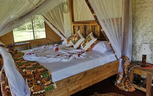 Africa Safari Lake Natron