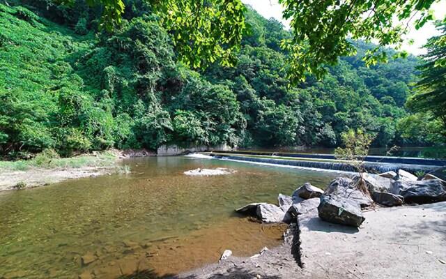 Goesan Starlight Pension