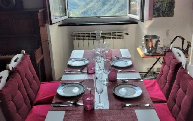 Valle Del Golfo Luminosa