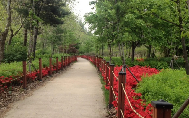 Pineville Home Single