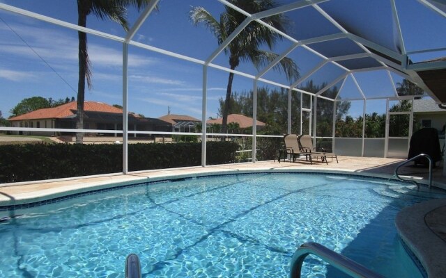 Palm Tree by 123cape VR