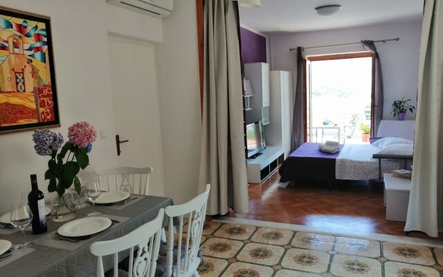 Apartments Amazing View