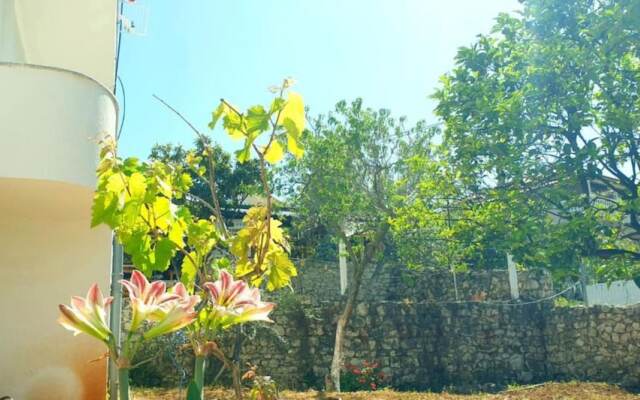 Room in Apartment - Albania Dream Holidays Apartment Ksamil