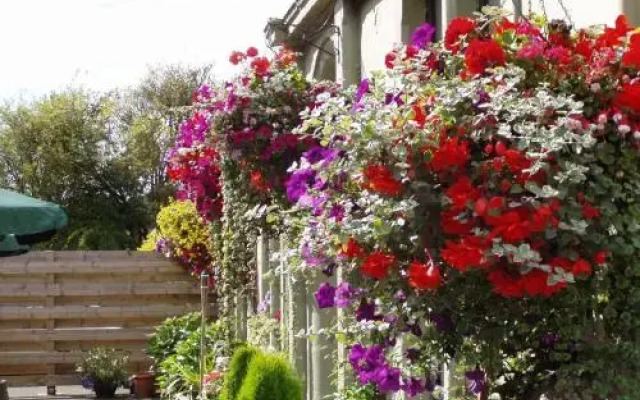 Auld Mill House Hotel