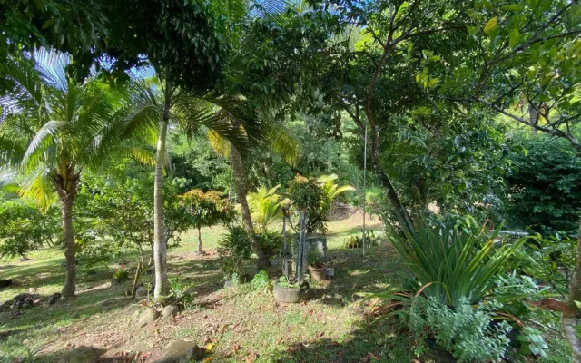 La Suite Odile Piscine