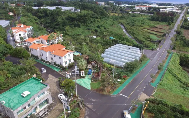 Seogwipobeautiful House Pension