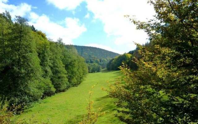 Apartment in the Odenwald With Terrace
