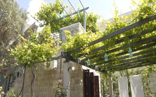 Casa Di Oliveto