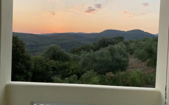 Kyparissia De Wandelboom