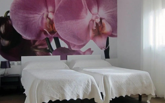 Agroturismo Abaienea
