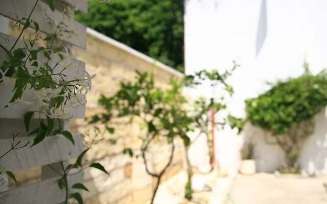 B&B Virò