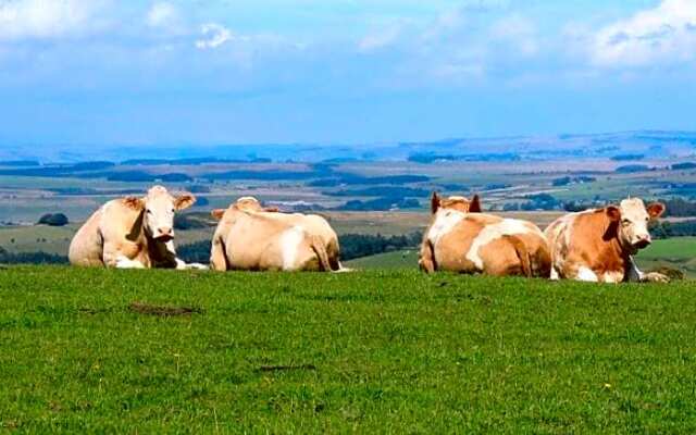 High Keenley Fell Farm