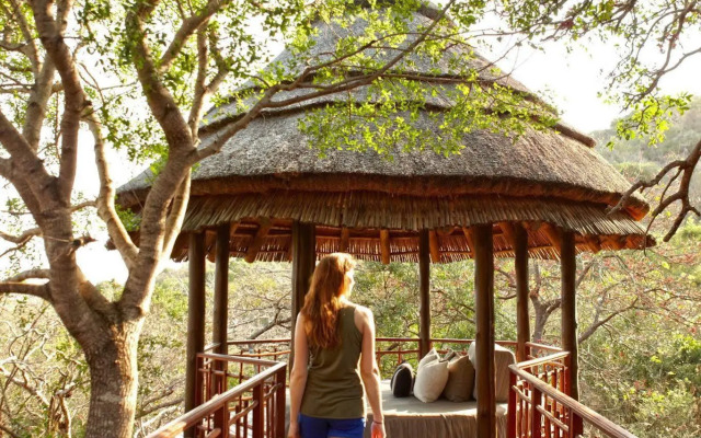 Thanda Safari