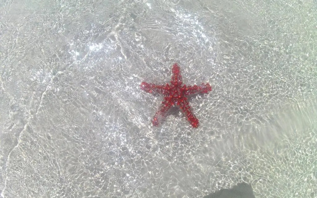 Malaika Beach Villas