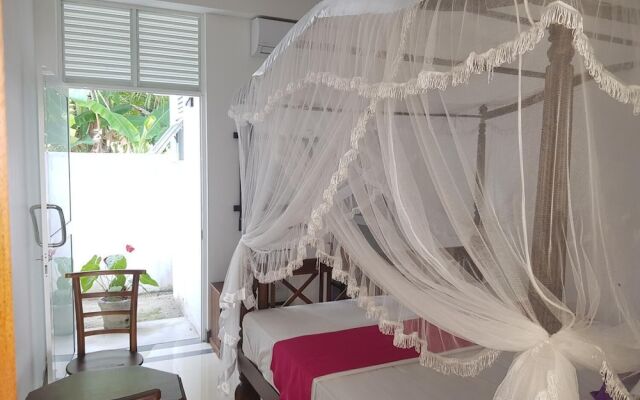 Vogel Nest