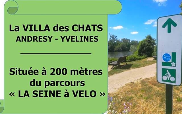 la villa des chats