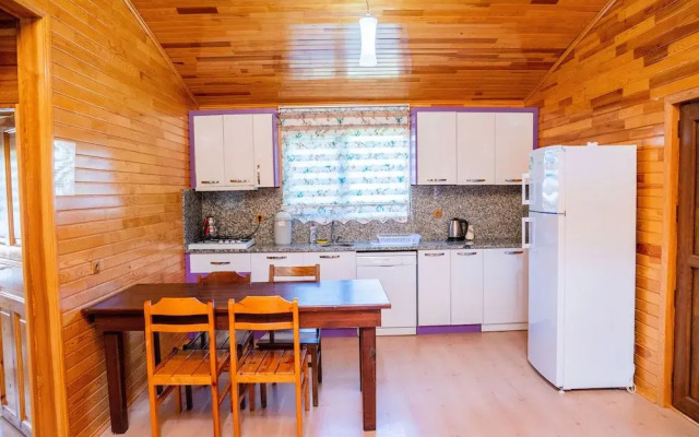 Ikiz Villas