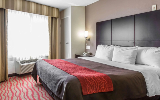Comfort Inn Los Angeles near Hollywood
