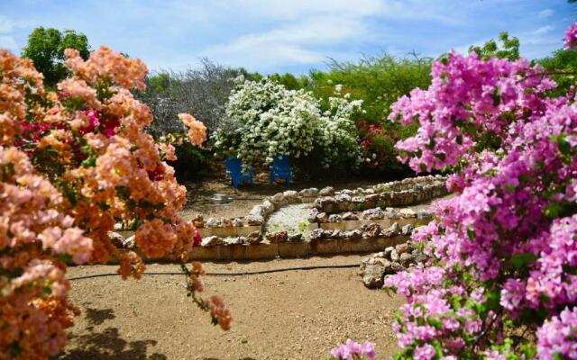 FonteinZen - Home with big garden at Fontein