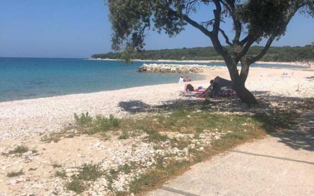 Apartment Gajac A7 44