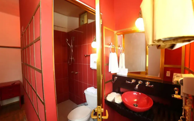 Collection O Casa Anzures Thematic, Mexico City